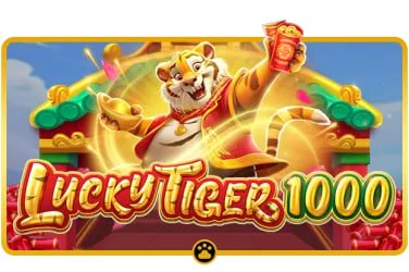 55bet